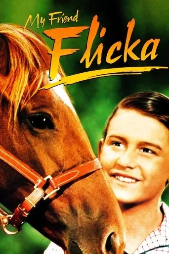 Póster de My Friend Flicka