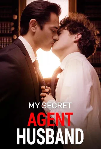 Póster de My Secret Agent Husband