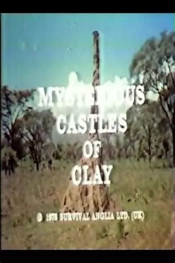 Póster de Mysterious Castles of Clay