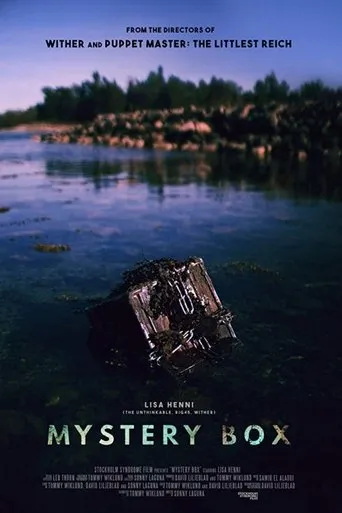 Póster de Mystery Box