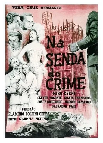 Póster de Na Senda do Crime