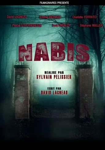 Póster de Nabis