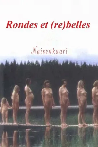 Póster de Naisenkaari
