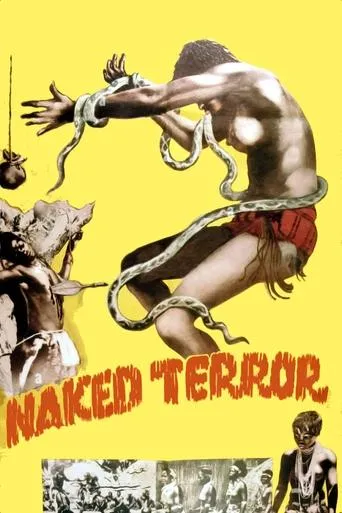 Póster de Naked Terror