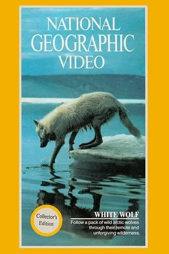 Póster de National Geographic: White Wolf