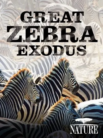 Póster de Nature: Great Zebra Exodus