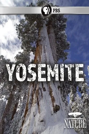 Póster de Nature: Yosemite