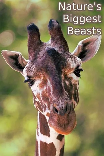 Póster de Nature's Biggest Beasts