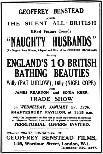 Póster de Naughty Husbands