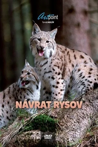 Póster de Návrat rysov