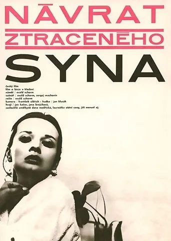 Póster de Návrat ztraceného syna