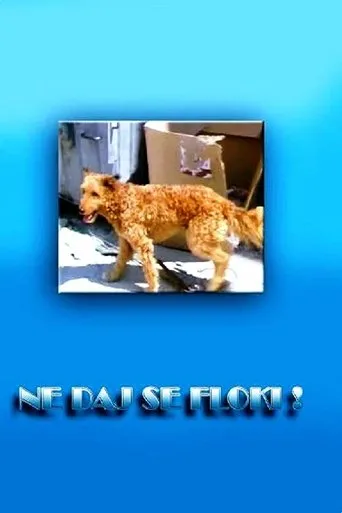 Póster de Ne daj se, Floki!