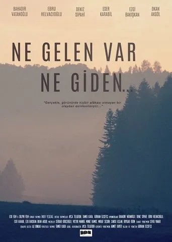 Póster de Ne Gelen Var Ne Giden...