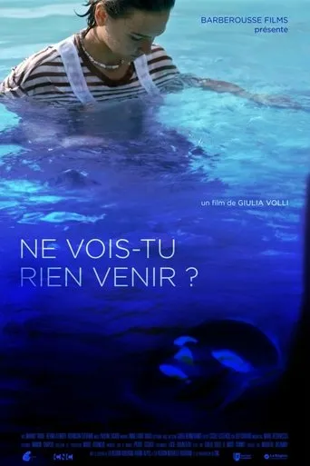 Póster de Ne vois-tu rien venir ?