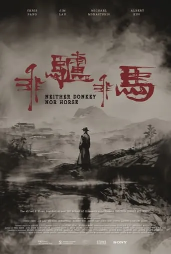 Póster de Neither Donkey Nor Horse