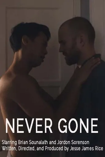 Póster de Never Gone
