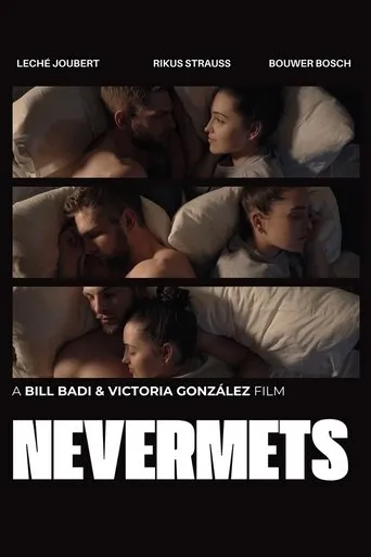 Póster de NeverMets