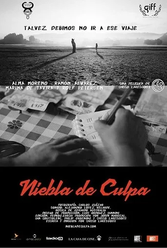 Póster de Niebla de Culpa