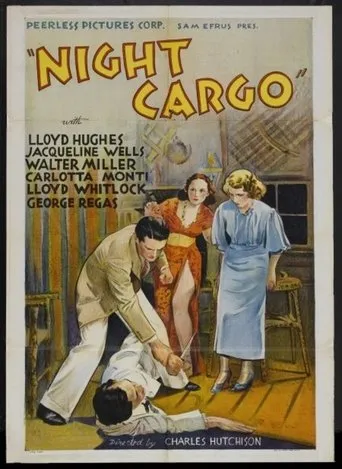 Póster de Night Cargo