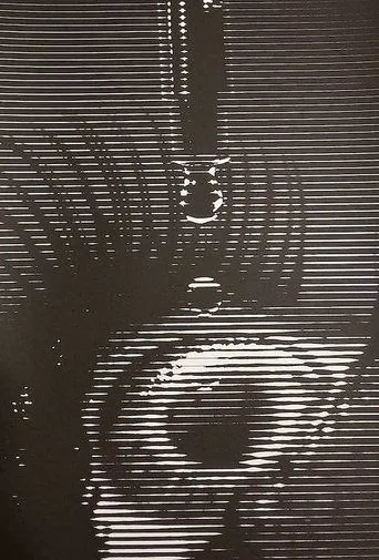 Póster de Nine Inch Nails: Live - Cold and Black and Infinite