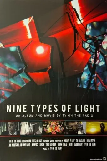 Póster de Nine Types of Light