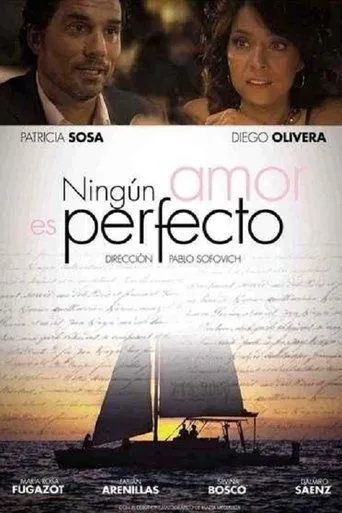 Póster de Ningún amor es perfecto