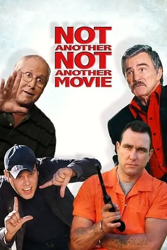 Póster de No es otra estúpida parodia