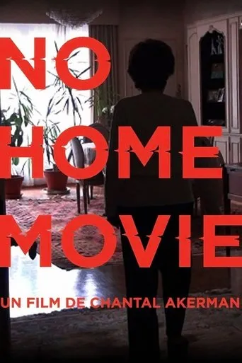 Póster de No Home Movie