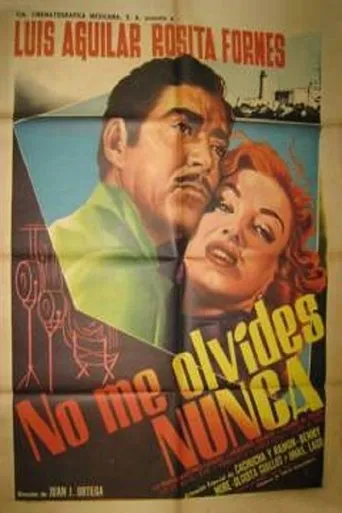 Póster de No me olvides nunca