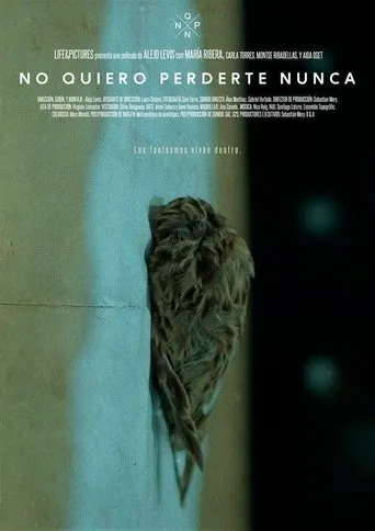 Póster de No quiero perderte nunca
