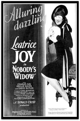 Póster de Nobody's Widow