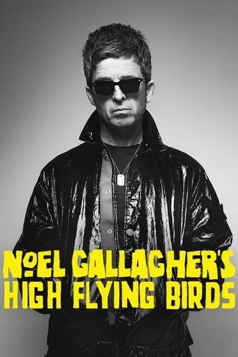 Póster de Noel Gallagher's High Flying Birds en concert au Zénith de Paris