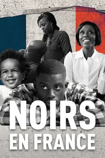 Póster de Noirs en France