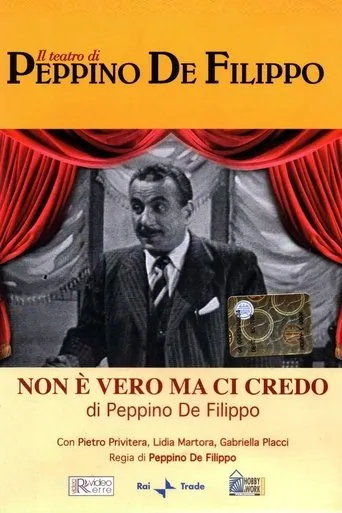Póster de Non è vero ma ci credo