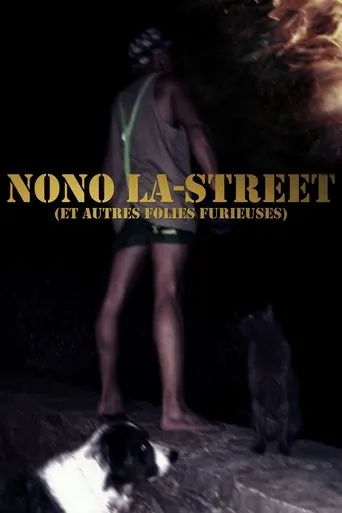 Póster de Nono La-Street (et autres folies furieuses)