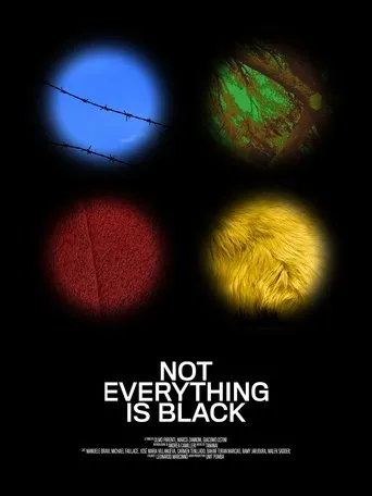 Póster de Not Everything Is Black