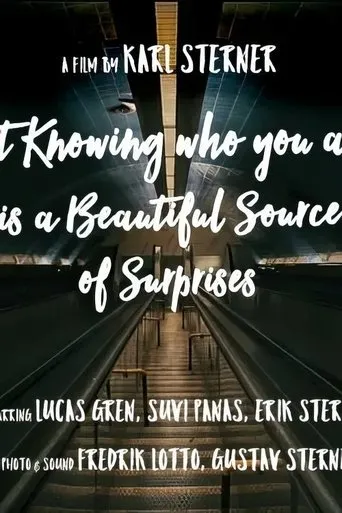 Póster de Not knowing who you are is a beautiful source of surprises