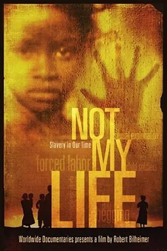 Póster de Not My Life