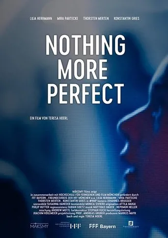 Póster de Nothing More Perfect
