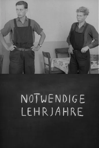 Póster de Notwendige Lehrjahre