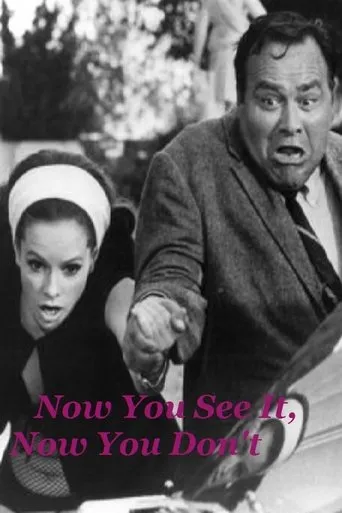 Póster de Now You See It, Now You Don't