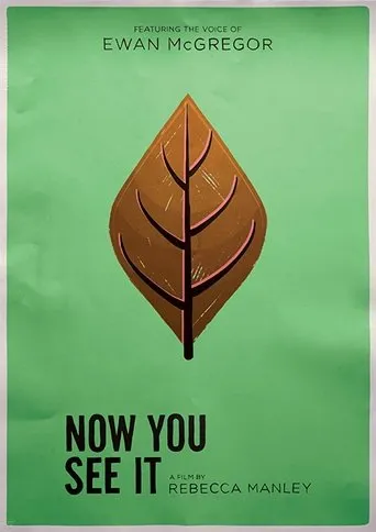 Póster de Now You See It