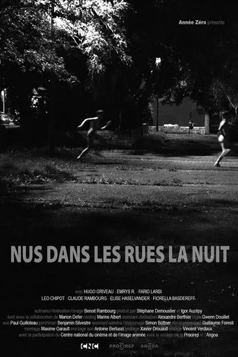 Póster de Nus dans les rues la nuit