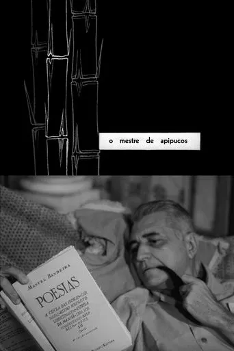 Póster de O Mestre de Apipucos