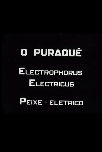 Póster de O Puraquê