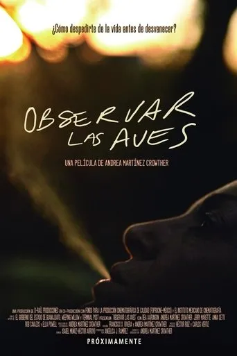 Póster de Observar las aves