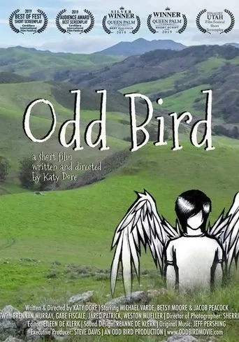 Póster de Odd Bird
