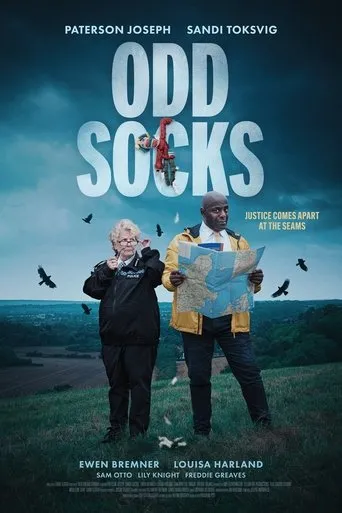 Póster de Odd Socks