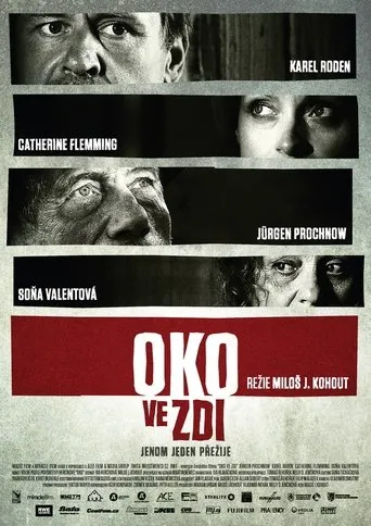 Póster de Oko ve zdi