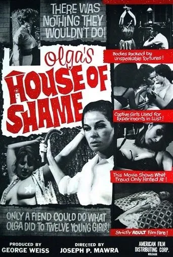 Póster de Olga's House of Shame
